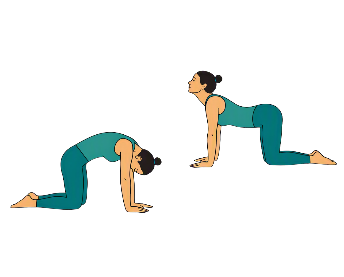 Remove the background from this yoga pose image and replace it with pure snow white (#FFFFFF) background